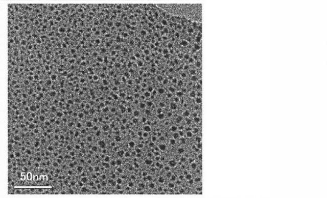 6436305-金属微粒子の製造方法および金属微粒子の製造装置 図000022