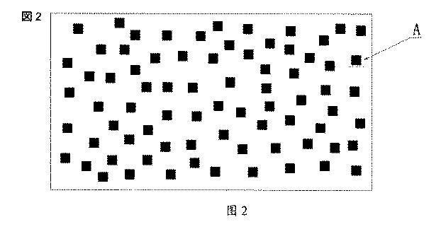 6450479-偽造防止方法 図000022