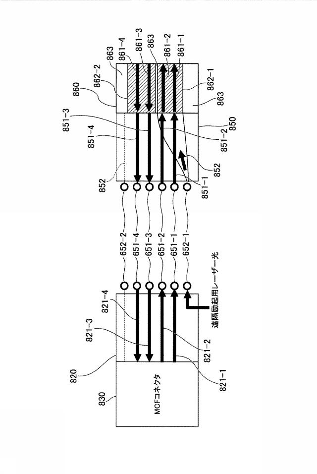 6517946-光増幅システム及び光増幅方法 図000022