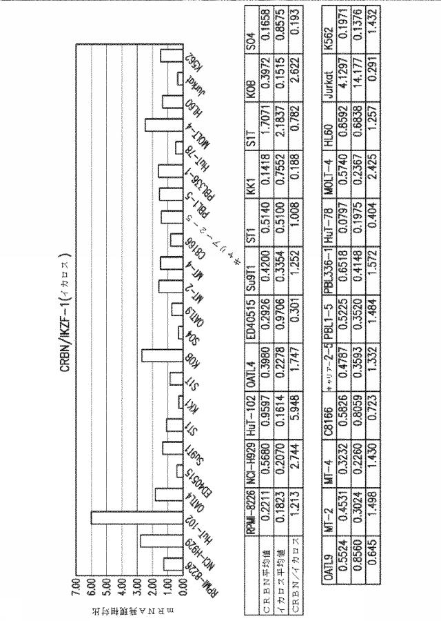 6585737-セレブロン関連タンパク質の比を使用してがんの治療のための薬物の有効性を決定するための方法 図000022