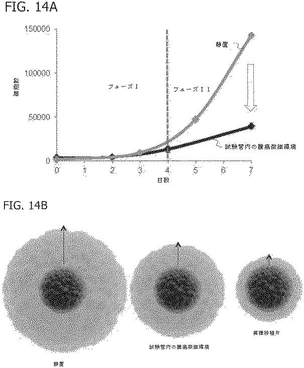 6684706-腫瘍微細環境のための試験管内モデル 図000022