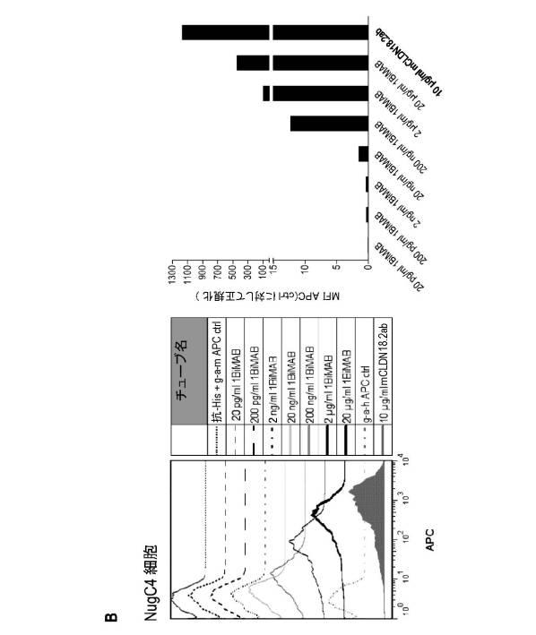 6799101-クローディンを発現するガン疾患を処置するための剤 図000022