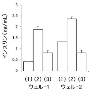 6822837-膵内分泌細胞及びその製造方法、並びに分化転換剤 図000022