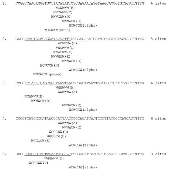 6986263-抗ウイルス薬 図000022