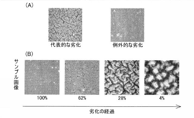 5649424-防水シート診断方法および診断装置 図000023