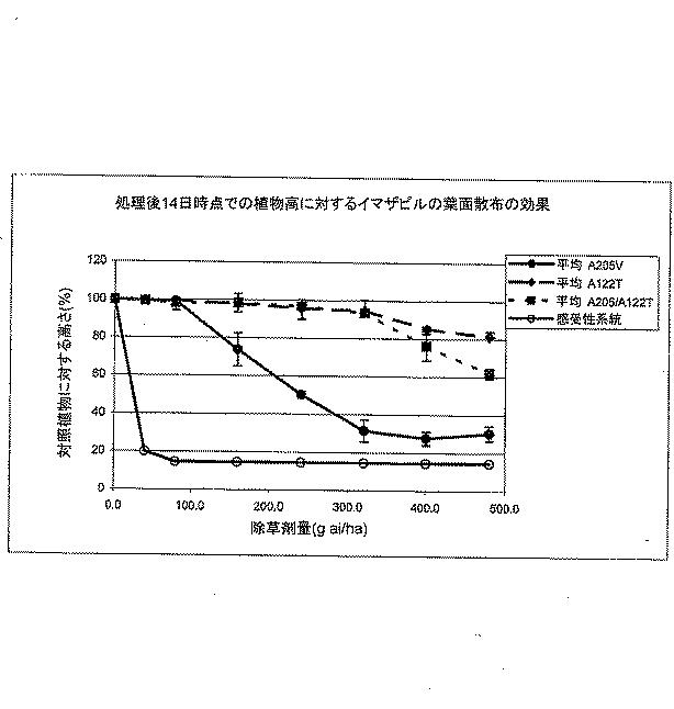 5715414-ＡＨＡＳＬ１の複数の除草剤耐性対立遺伝子を有する除草剤耐性ヒマワリ植物及び使用方法 図000023