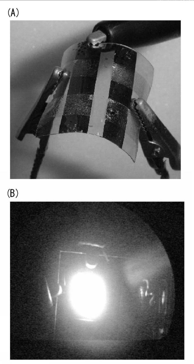 5741884-画像表示装置およびフレキシブル透明有機エレクトロルミネッセンス素子 図000023