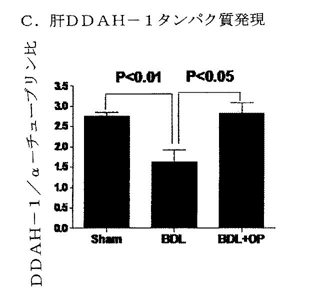 5749255-Ｌ−オルニチンフェニル酢酸塩を用いる門脈圧亢進の治療及び肝機能の修復 図000023