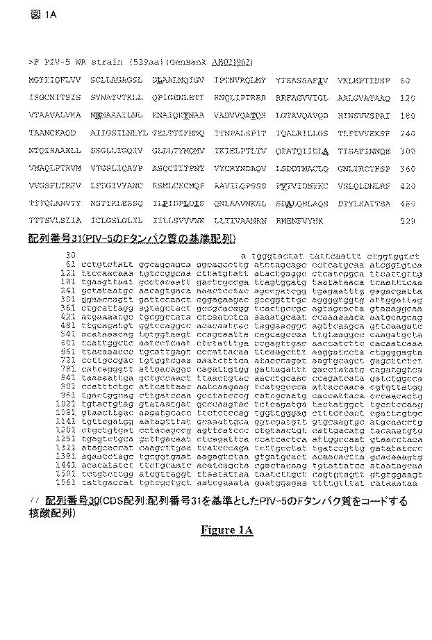 5823296-ＰＩＶ−５及びＰＩＶ−２のＦタンパク質の突然変異タンパク質 図000023