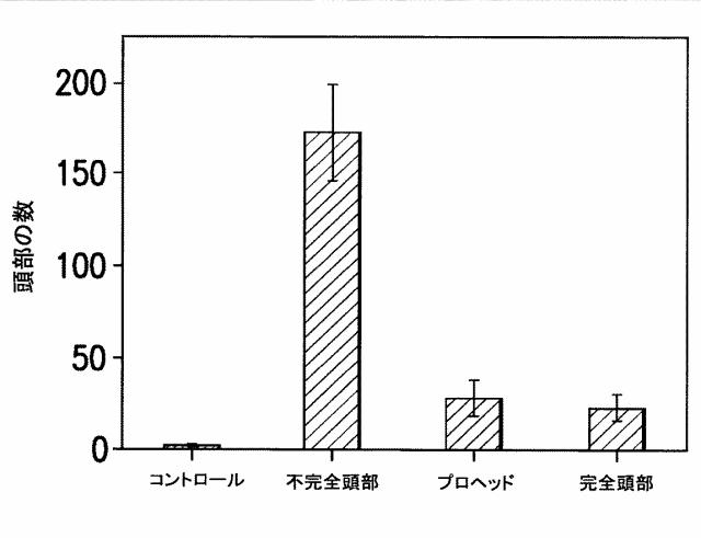 5863766-タンパク質および核酸送達媒体、その成分および機構 図000023