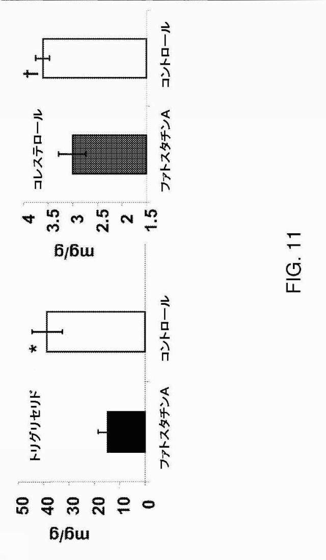 5878937-代謝障害を処置するための組成物および方法 図000023