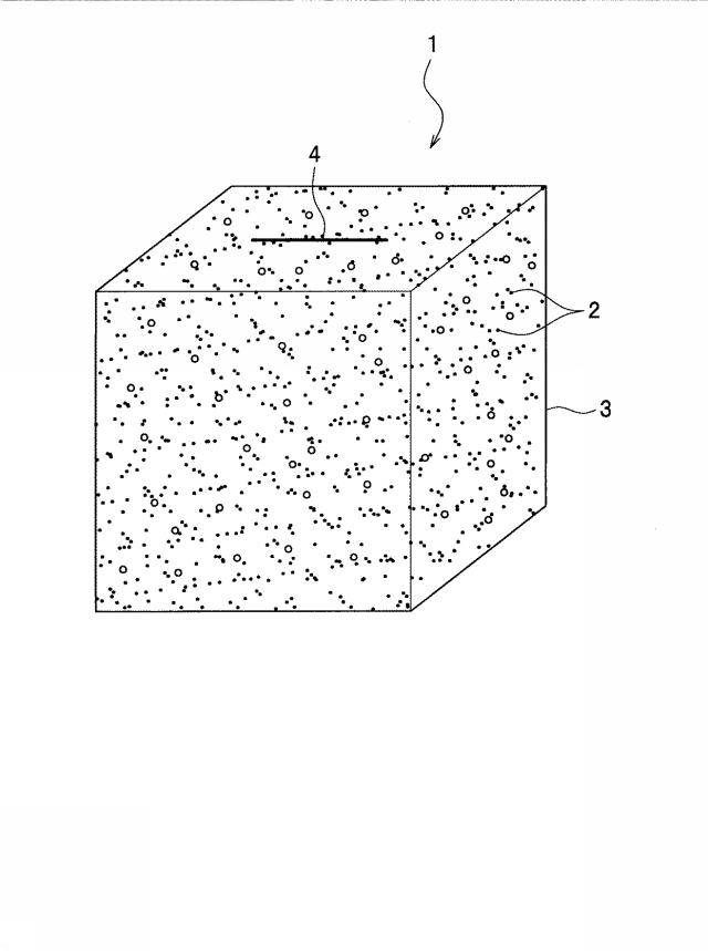 5947993-水耕栽培用マット 図000023