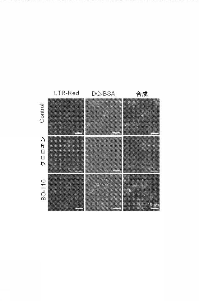 6222749-医薬組成物及びその使用 図000023