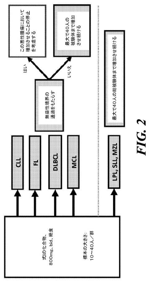 6298539-がんを処置する方法 図000023