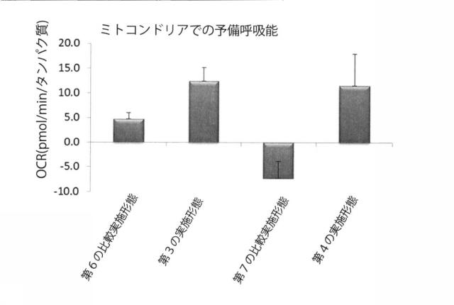 6329234-ミトコンドリアを改善する方法および幹細胞の細胞分裂を促進する方法 図000023