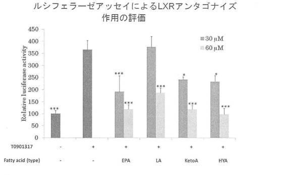 6340523-希少脂肪酸を含む代謝改善剤 図000023