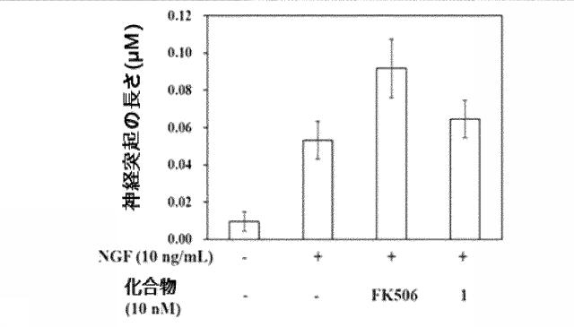 6370490-免疫抑制活性なしに神経再生活性が維持されるＦＫ５０６誘導体及びその用途 図000023