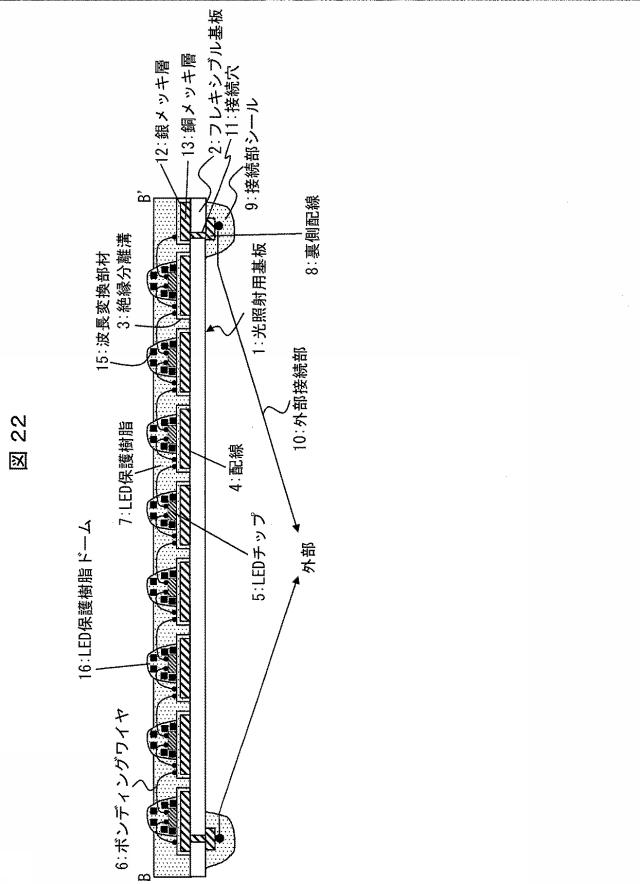 6445187-光照射装置および光治療器 図000023