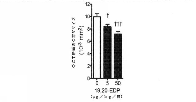 6526570-炎症及び血管形成を減少させるＣＹＰ４５０脂質メタボライト 図000023