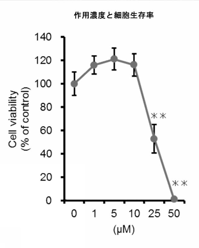 6552005-低分子化合物による癌と線維化の抑制効果 図000023