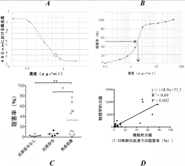 6559302-黄色ブドウ球菌（Ｓｔａｐｈｙｌｏｃｏｃｃｕｓ  ａｕｒｅｕｓ）感染症に対する抗グルコサミニダーゼ受動免疫処置 図000023