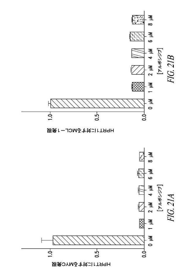 6689841-スーパーエンハンサー領域において転写制御を標的とする方法 図000023