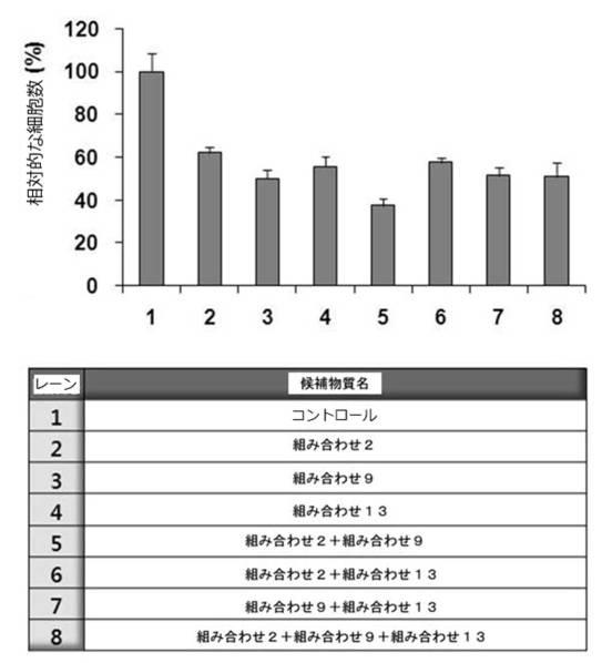 6727381-ＨＰＶ感染に係わる癌の治療用組成物 図000023