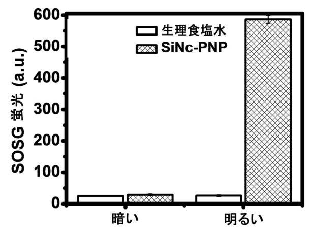 6769992-ポリマーナノ粒子における感光性化合物を含む組成物およびその組成物を使用する方法 図000023