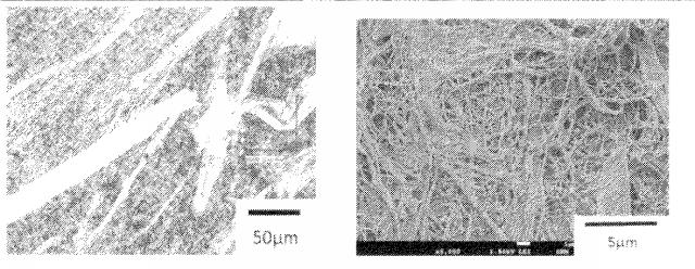 6775160-疎水化セルロース系繊維用の解繊助剤、それを使用する樹脂組成物の製造方法並びに成形体 図000023