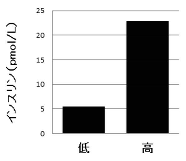 6822837-膵内分泌細胞及びその製造方法、並びに分化転換剤 図000023