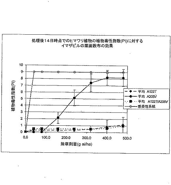 5715414-ＡＨＡＳＬ１の複数の除草剤耐性対立遺伝子を有する除草剤耐性ヒマワリ植物及び使用方法 図000024