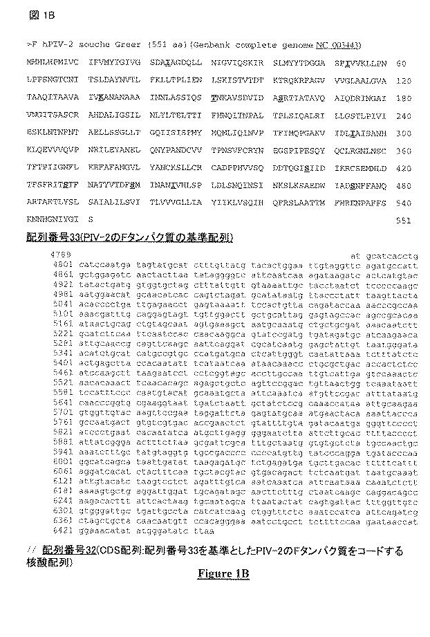 5823296-ＰＩＶ−５及びＰＩＶ−２のＦタンパク質の突然変異タンパク質 図000024