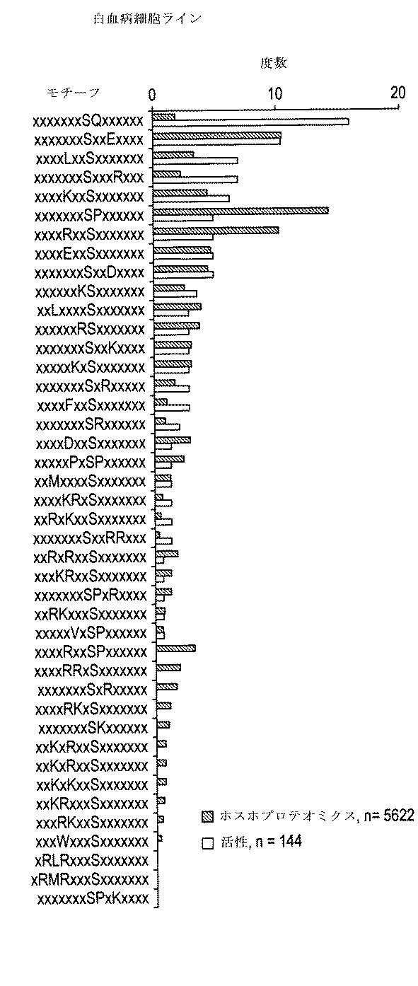 6005651-トランスフェラーゼの活性同定方法 図000024