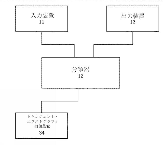 6193225-肝線維症検出装置および検出システム 図000024