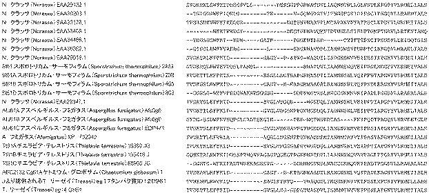6290626-糖化プロセスにおける粘度を低下させる方法 図000024