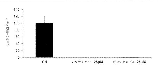 6335877-ウイルス感染を治療する方法および組成物 図000024