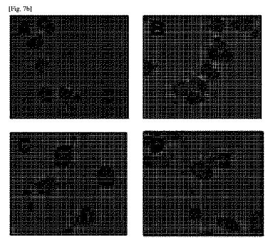 6370490-免疫抑制活性なしに神経再生活性が維持されるＦＫ５０６誘導体及びその用途 図000024