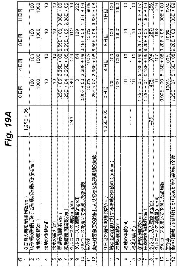 6386447-養子細胞療法のための改良された細胞培養法 図000024