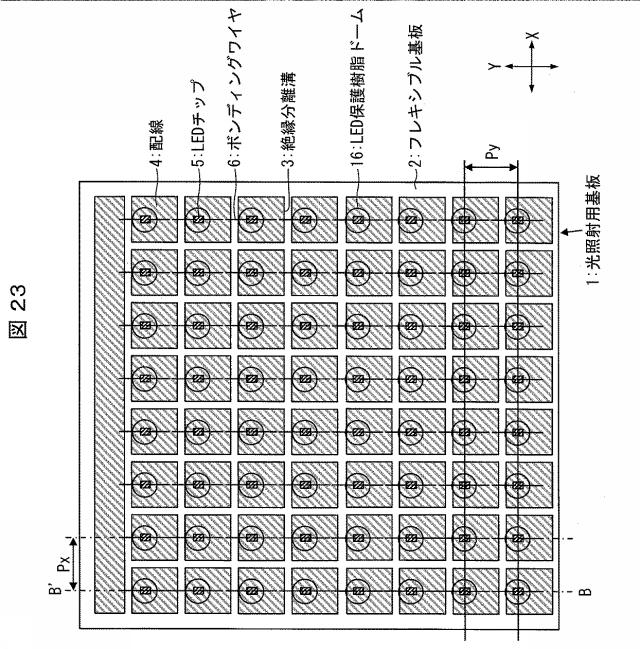 6445187-光照射装置および光治療器 図000024