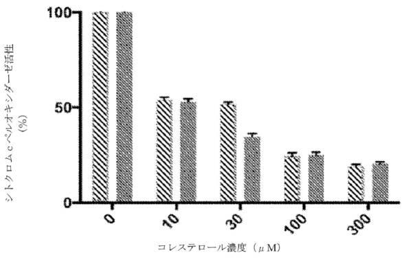 6480921-コレステロール誘発性ミトコンドリア機能不全を治療するための芳香族カチオン性ペプチドの使用 図000024