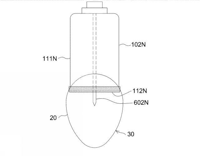 6550558-卵殻形状物からの卵殻形状容器の製造方法 図000024