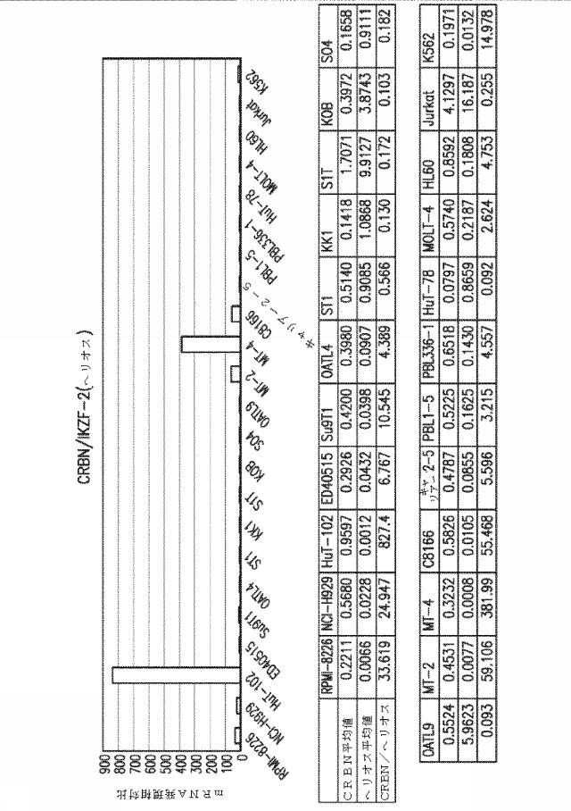 6585737-セレブロン関連タンパク質の比を使用してがんの治療のための薬物の有効性を決定するための方法 図000024