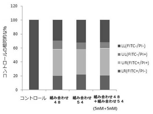 6727381-ＨＰＶ感染に係わる癌の治療用組成物 図000024