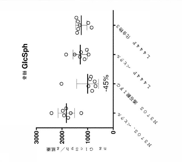 6857648-リソソーム障害及び中枢神経系の変性障害の治療及び予防のための（３Ｒ，４Ｒ，５Ｓ）−５−（ジフルオロメチル）ピペリジン−３，４−ジオールを含むレジメン 図000024