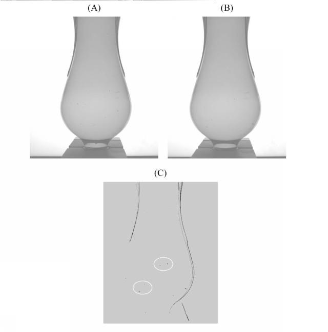 6863558-異物検査方法及び装置 図000024