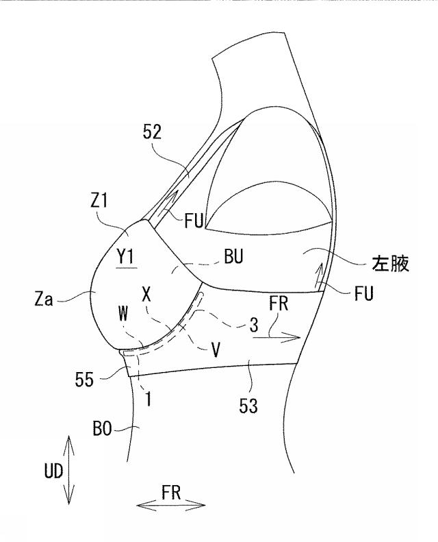 6874237-カップ部用樹脂ワイヤー、及びカップ部付き衣類 図000024