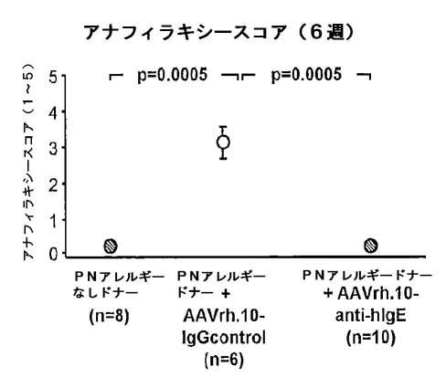 6878301-アレルゲンに対する反応を予防するための遺伝子治療 図000024