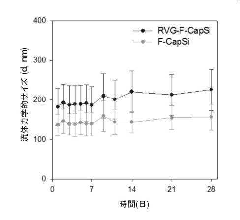 6894423-融合性リポソーム被覆多孔質ケイ素ナノ粒子 図000024