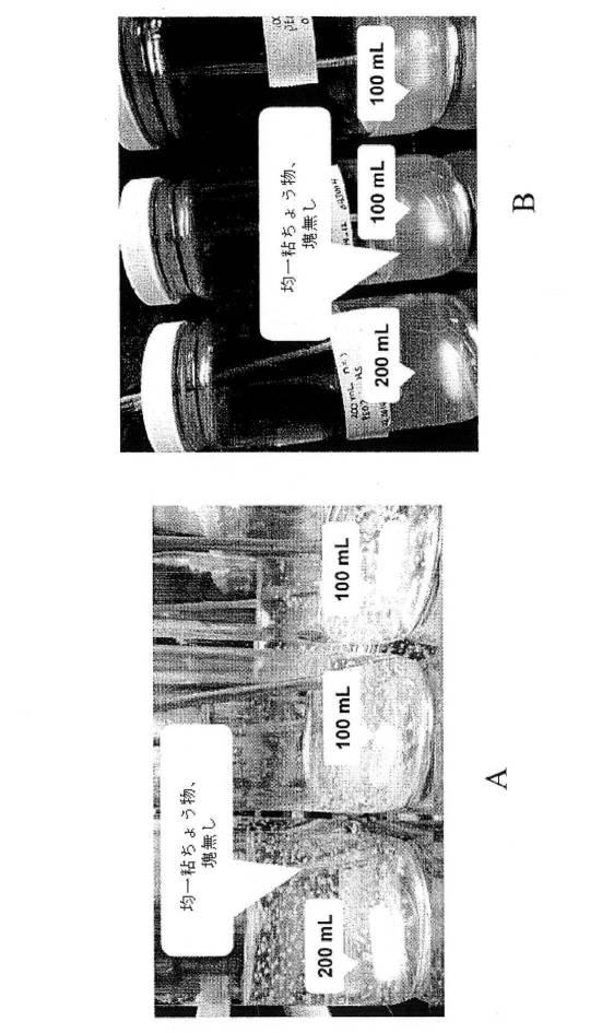 6929407-乱用抵抗性医薬組成物 図000024