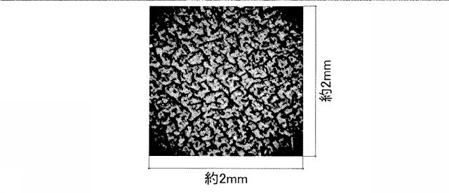 5649424-防水シート診断方法および診断装置 図000025